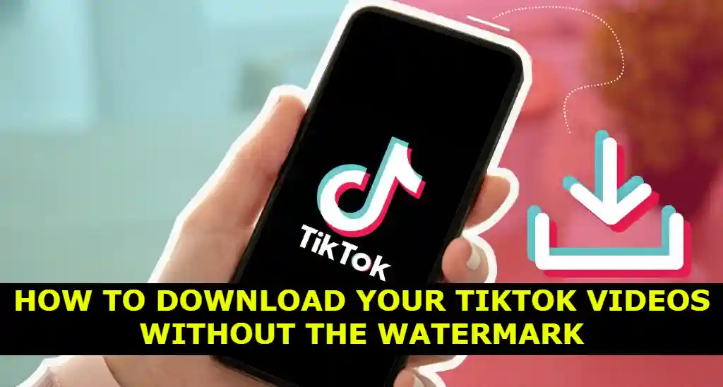 How to Download Your TikTok Videos Without The Watermark